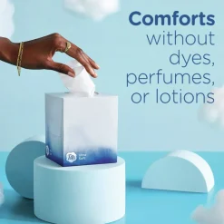 Ultra Soft 2-Ply Facial Tissue - White (24/Carton) Cleaning & Janitorial Supplies