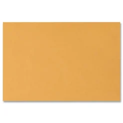 Best #15 Hub Flap Gummed Closure 10 in. x 15 in. Open-Side Booklet Envelope - Brown Kraft (100/Box) Mailing, Packing & Shipping