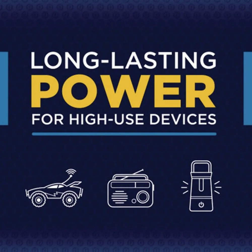 Discount Alkaline D Batteries (12/Pack) Office Electronics & Batteries