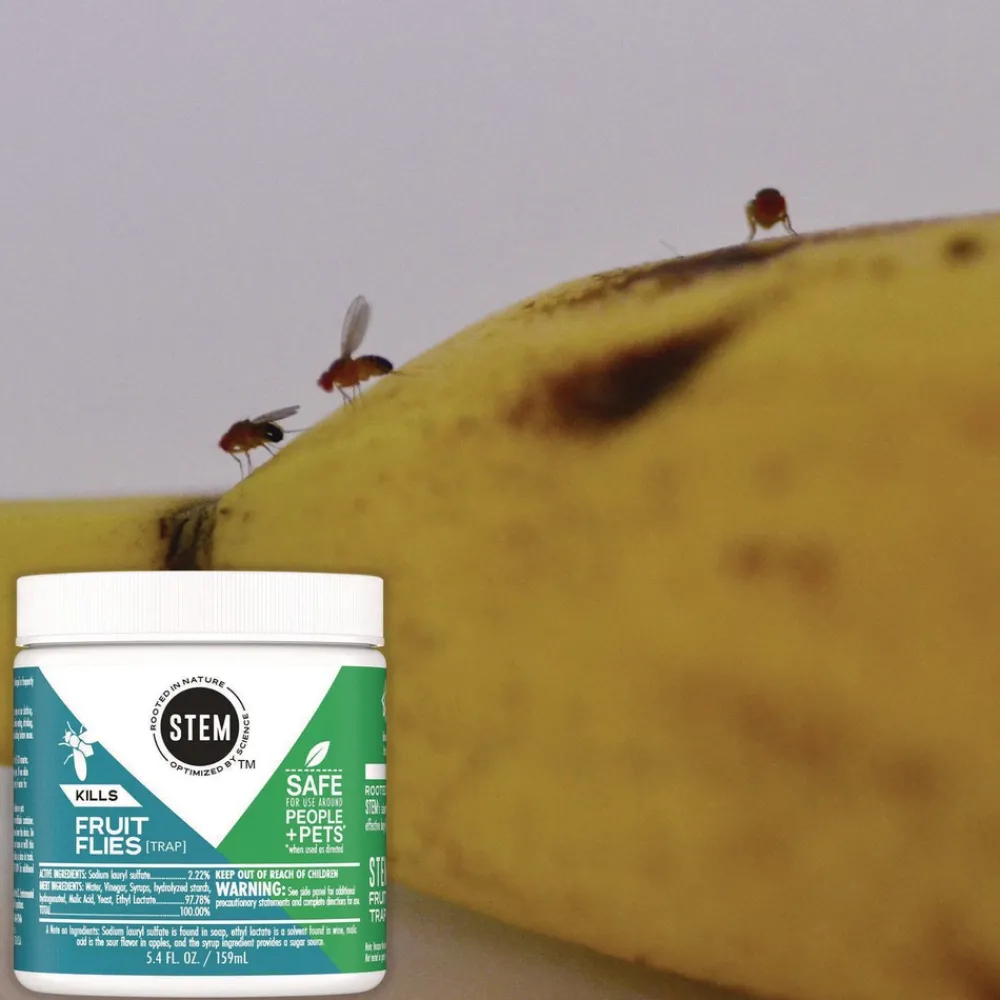 Online STEM Fruit Flies Trap 5.4 oz Jar 8/Carton Cleaning & Janitorial Supplies