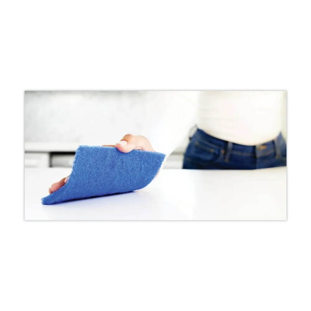 3 x 6 Non-Scratch Scour Pads - Blue (10/Carton) Cleaning & Janitorial Supplies