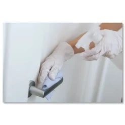Best Latex Gloves - Small Cream (1000/Carton) Cleaning & Janitorial Supplies