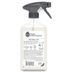 Outlet 16 oz. Bottle Foaming Dish Spray - Mandarin Orange Scent (6/Carton) Cleaning & Janitorial Supplies