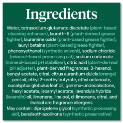 Outlet 16 oz. Bottle Foaming Dish Spray - Mandarin Orange Scent (6/Carton) Cleaning & Janitorial Supplies