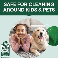 New 24 oz. Bottle Toilet Bowl Cleaner - Fresh Mint Scent (4/Carton) Cleaning & Janitorial Supplies