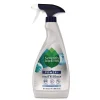 Outlet 16 oz Laundry Stain Remover Spray Bottle - Fragrance-Free (8/Carton) Cleaning & Janitorial Supplies
