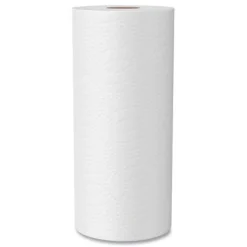 Best 2-Ply 11 x 5.4 100 Percent Recycled Paper Kitchen Towel Rolls (32/Carton) Paper & Dispensers