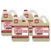 1 Gallon Pro Carpet Cleaner - Unscented (4/Carton) Cleaning & Janitorial Supplies
