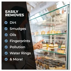 Sale 32 oz Ready-To-Use Pro Glass Cleaner (12/Carton) Cleaning & Janitorial Supplies