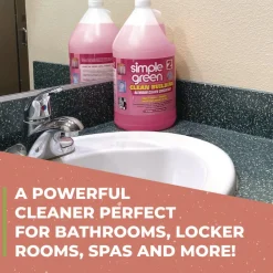 New Clean Building 1-Gallon Bathroom Cleaner Concentrate - Unscented Cleaning & Janitorial Supplies