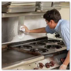 Online Crystal 20 oz Aerosol Spray Foaming Industrial Cleaner and Degreaser (12/Carton) Cleaning & Janitorial Supplies