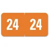 Online 0.5 in. x 1 in. 24 Yearly End Tab File Folder Labels - Orange (250/Pack) Labels & Label Makers