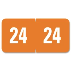 Online 0.5 in. x 1 in. 24 Yearly End Tab File Folder Labels - Orange (250/Pack) Labels & Label Makers