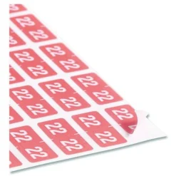 Best 0.5 in. x 1 in. Yearly End Tab 22 File Folder Labels - Pink (250/Pack) Labels & Label Makers