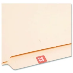 Best 0.5 in. x 1 in. Yearly End Tab 22 File Folder Labels - Pink (250/Pack) Labels & Label Makers