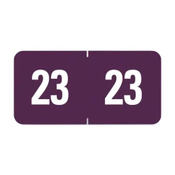 Best 0.5 in. x 1 in. Yearly End Tab 23 File Folder Labels - Purple (250/Pack) Labels & Label Makers