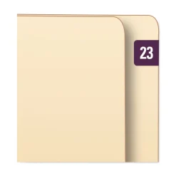 Best 0.5 in. x 1 in. Yearly End Tab 23 File Folder Labels - Purple (250/Pack) Labels & Label Makers