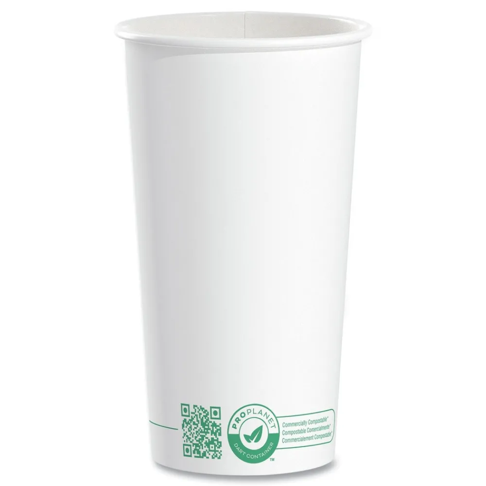 Clearance 20 oz Compostable Paper Hot Cups - White/Green (600/Carton) Tabletop And Serveware