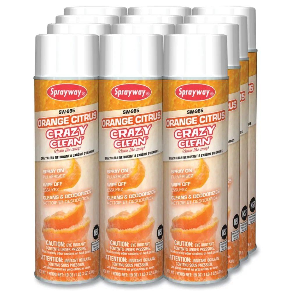 Outlet 19 oz. Aerosol Spray Orange Citrus Crazy Clean - Orange Scent (12/Carton) Odor Control