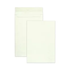 Best 12 in. x 16 in. No. 15-1/2 Lightweight 14 lbs. Tyvek Open End Expansion Mailers - White (100/Carton) Pens, Pencils & Markers