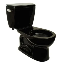 Sale Drake Round 2-Piece Floor Mount Toilet (Ebony) Fixtures
