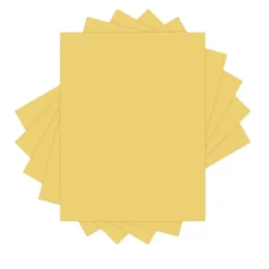 Hot 8.5 in. x 11 in. 20 lbs. Bond Weight Deluxe Colored Paper - Goldenrod (10 Reams/Carton) Paper & Printables