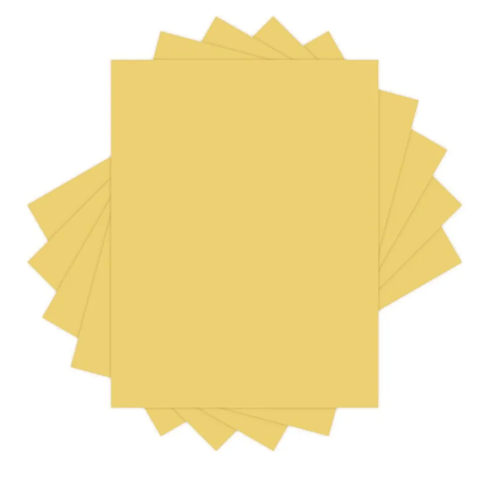 Hot 8.5 in. x 11 in. 20 lbs. Bond Weight Deluxe Colored Paper - Goldenrod (10 Reams/Carton) Paper & Printables
