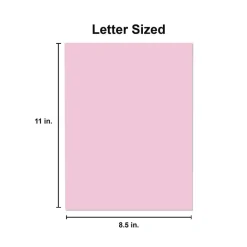 Best 8.5 in. x 11 in. 20 lbs. Bond Weight Deluxe Colored Paper - Pink (10 Reams/Carton) Paper & Printables