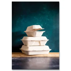 Discount 7.9 in. x 7.9 in. x 2.9 in. Nourish Molded Fiber Compostable Sugarcane Takeout Containers - White (200/Carton) Tabletop And Serveware