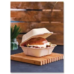 Outlet 5.9 in. x 5.9 in. x 2.9 in. Nourish Molded Fiber Compostable Sugarcane Takeout Containers - White (400/Carton) Tabletop And Serveware