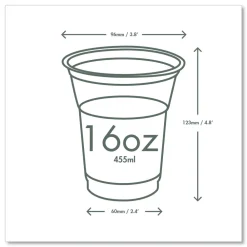 Hot 16 oz. 96-Series Compostable Cold Cup - Clear/Green (1000/Carton) Tabletop And Serveware