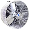 Clearance 20 in. Deep Guard Circulation Fan Fans