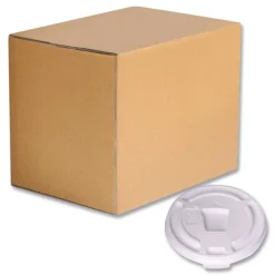 Clearance Drink-Thru Plastic Lids for 10 oz Hot Cups and Bowls - White (1000/Carton) Tabletop And Serveware