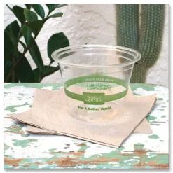 Discount 9 oz PLA Plastic Cold Cups - Clear (1000/Carton) Tabletop And Serveware