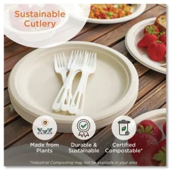 Clearance SP-TP-AS Plastic Asian Soup Spoon TPLA Compostable Cutlery - White (500/Carton) Tabletop And Serveware