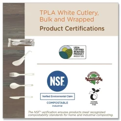 Clearance SP-TP-AS Plastic Asian Soup Spoon TPLA Compostable Cutlery - White (500/Carton) Tabletop And Serveware